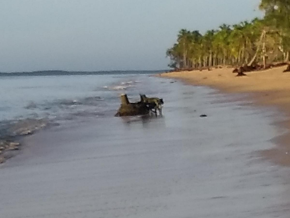 Pousada Das Sereias Caravelas Luaran gambar